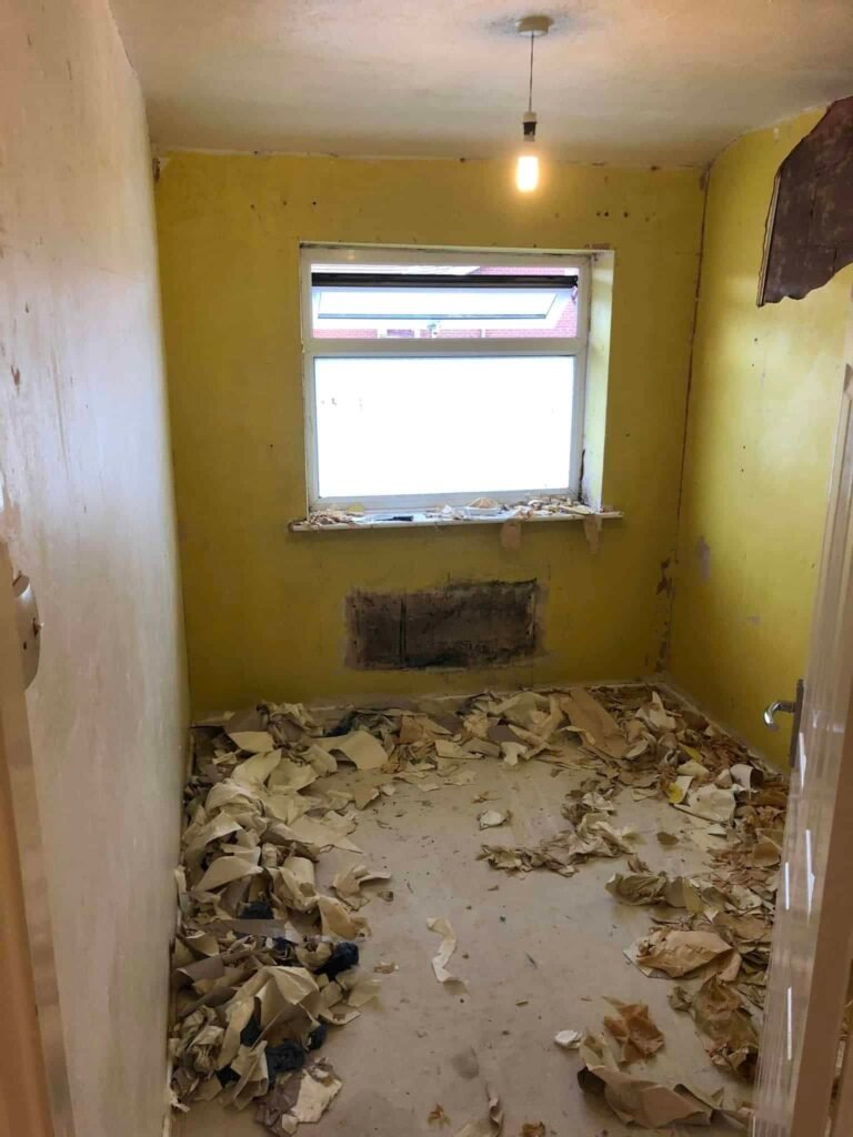 Whole-House Interior Redecoration and Wall Preparation