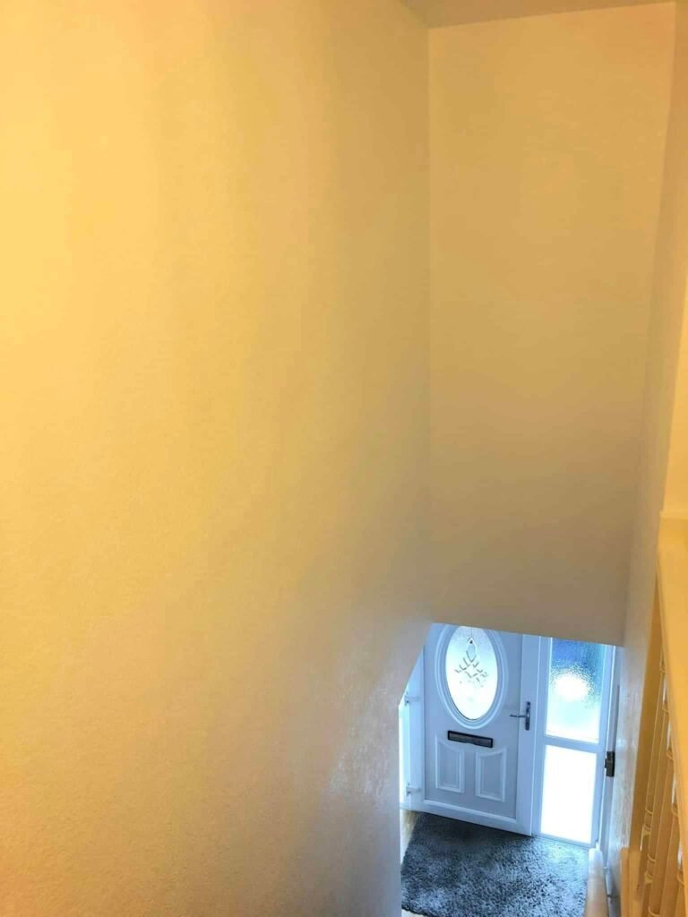 Whole-House Interior Redecoration and Wall Preparation